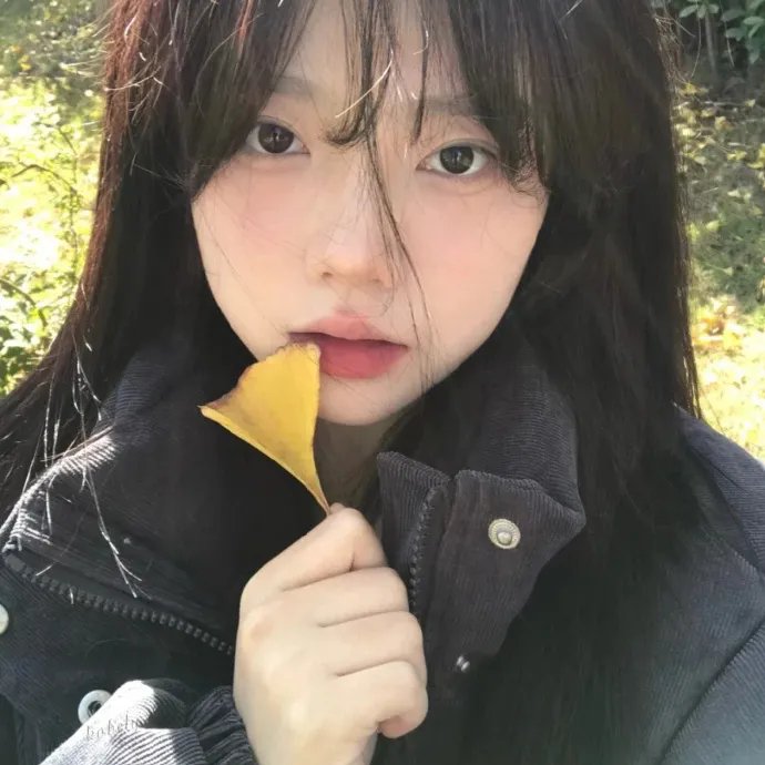 新奇的浪漫
